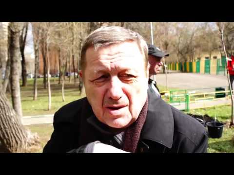 Начало акции "Миллион деревьев"