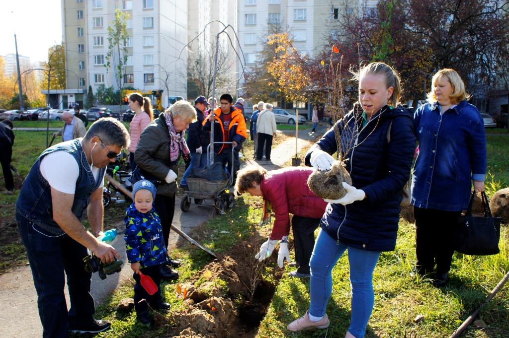 Высадка саженцев, Северное Бутово ("Миллион деревьев")