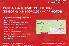 «Пушистый хвост» улизнул в Сокольники!