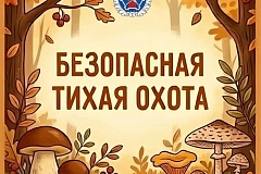 Грибники, помните о безопасности!
