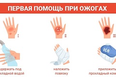 Что нужно знать каждому про правила оказания первой помощи