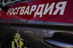 Столичные росгвардейцы задержали двоих мужчин, подозреваемых в разбойном нападении