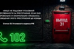 Специальный проект «Выход31»