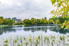 Чистая вода и новые биоплато: Нижний Афонинский пруд в Зюзино восстановлен